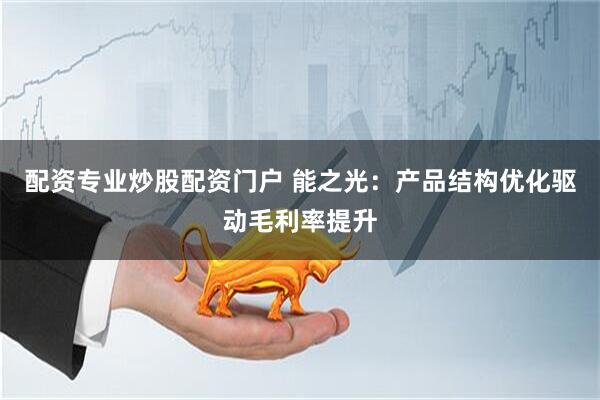 配资专业炒股配资门户 能之光：产品结构优化驱动毛利率提升