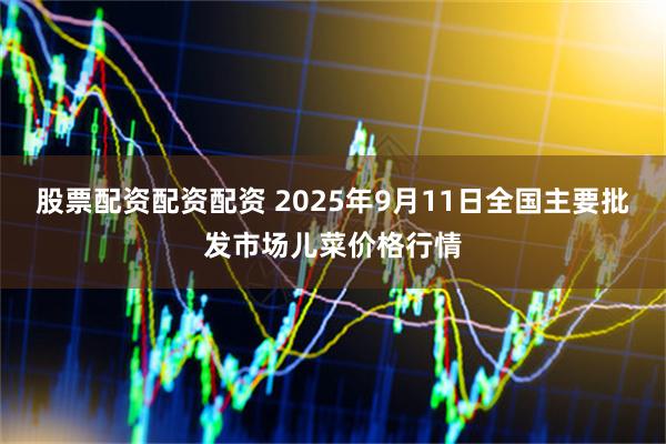 股票配资配资配资 2025年9月11日全国主要批发市场儿菜价格行情