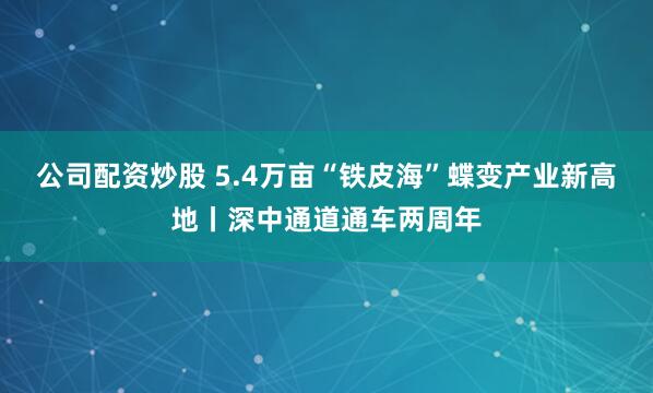公司配资炒股 5.4万亩“铁皮海”蝶变产业新高地丨深中通道通车两周年